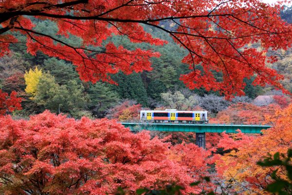 Fukushima Prefecture