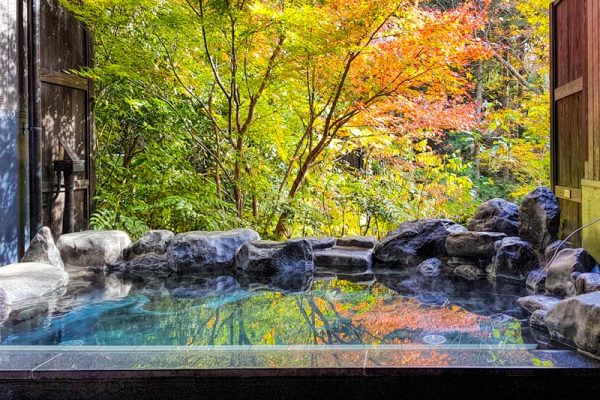 Hakone-Onsen-Yuryo