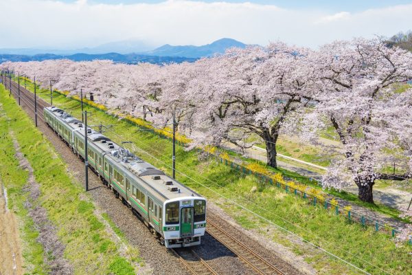 Local and Regional Trains