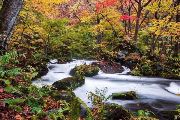 Oirase Gorge